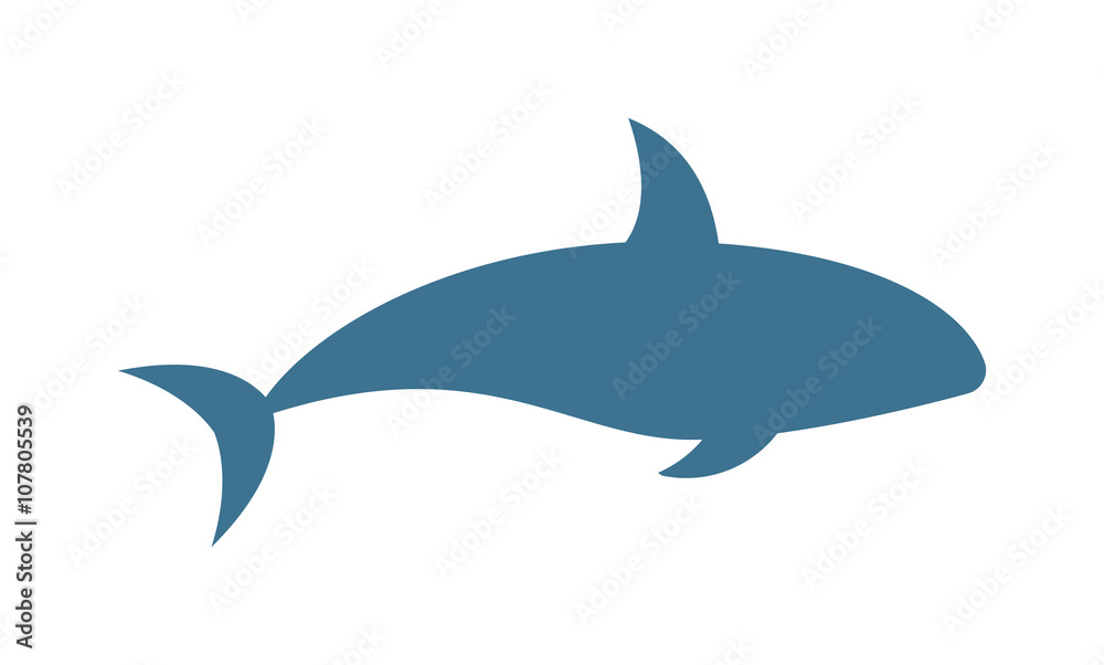 Killer whale Orcinus orca vector isolated on white background Killer whale Orcinus orca vector isolated on white background