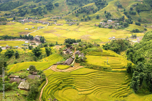 beautiful view of house and village in rice terrace at Sapa , vi