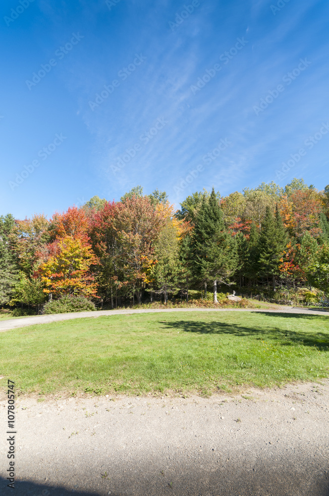 Naklejka premium Autumn landscape