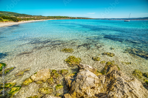 Fototapeta Naklejka Na Ścianę i Meble -  boat in a Alghero blue sea