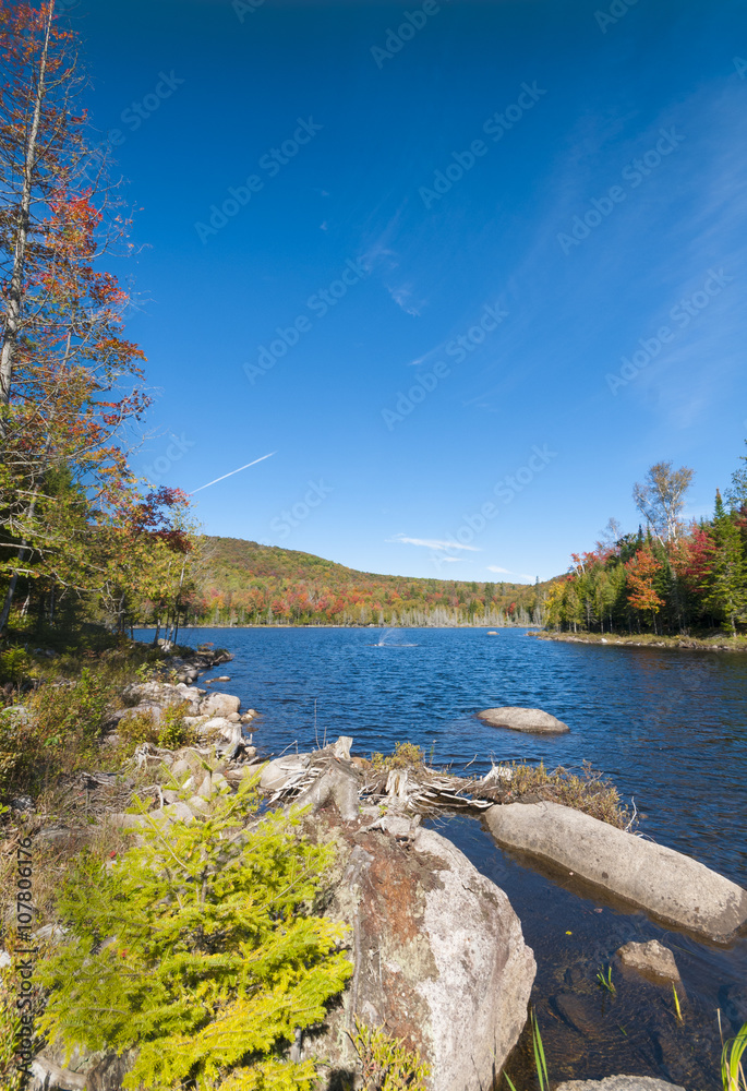 Naklejka premium Autumn landscape