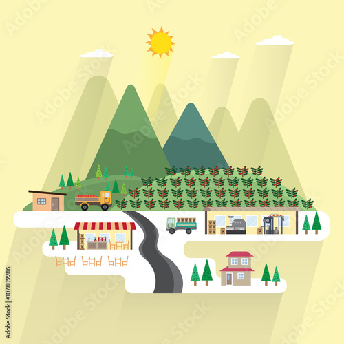 coffee process in simple graphic