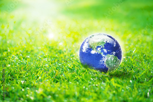 Globe in the garden  Earth on green grass eco concept  Elements of this image furnished by NASA