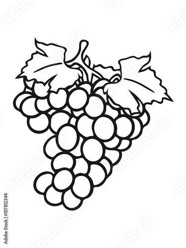 grapes grape harvesting tasty wine