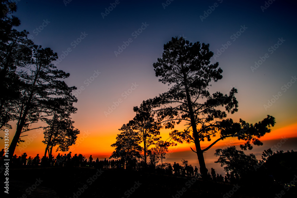 beautiful sunlight and fog at phu ruea in loei province thailand