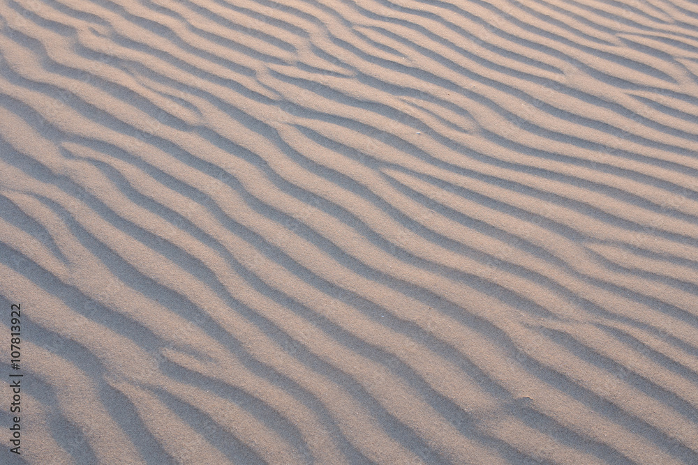 Obraz premium 風紋