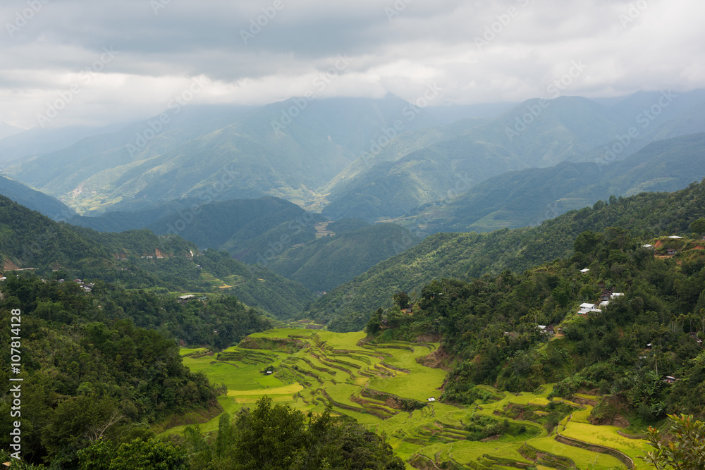Naklejka premium Batad rice terraces in Ifugao, Philippines.