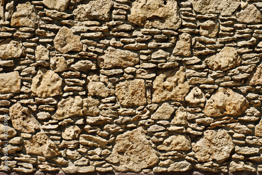 Coquina background. Grunge fossil limestone texture. Coquina background. Grunge fossil limestone texture.
