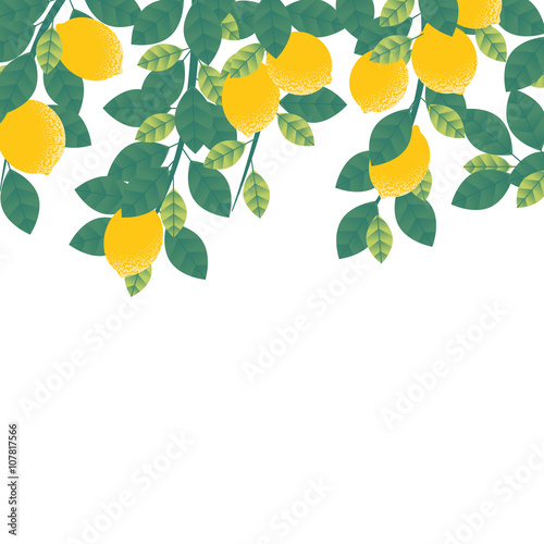 Lemons hanging on tree with leaves