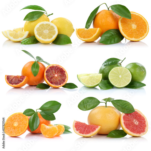Sammlung Orangen Zitronen Mandarinen Grapefruit Früchte Freiste