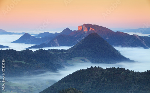 Fototapeta Naklejka Na Ścianę i Meble -  Green field and view of Trzy Korony in Pieniny Mountains, Poland