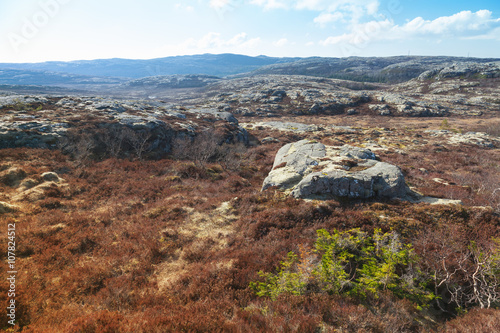  Norwegian landscape with rocks and red moss © evannovostro