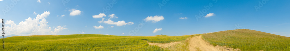 Fototapeta premium Tuscany wheat field panorama in a sunny day