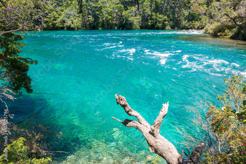 Menendez river, Los Alerces National park in Patagonia, Argentina photo