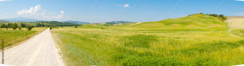 Tuscany wheat field panorama in a sunny day