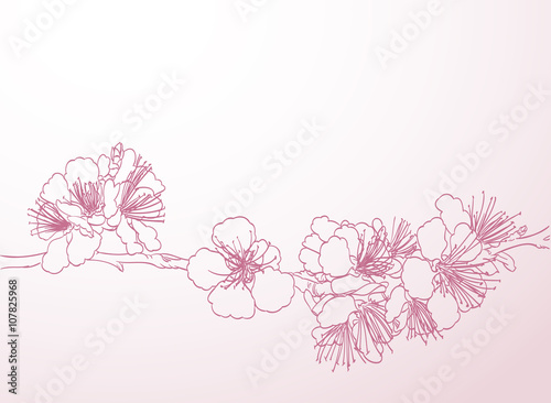 blossoming tree line art hand drawing. spring stylish background
