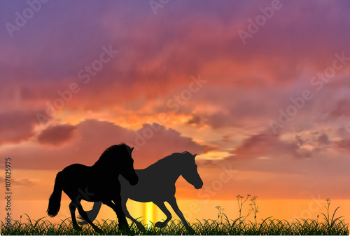 two running horses on sunset background