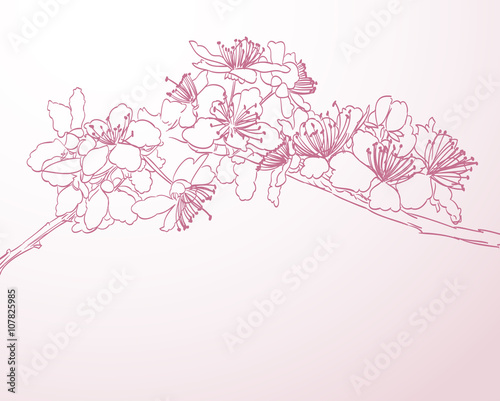 blossoming tree line art hand drawn illustration