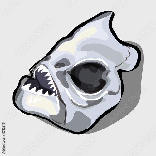 Cranial bone fish, head ancient toothy creatures