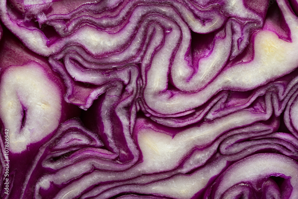 Obraz premium texture cut red cabbage