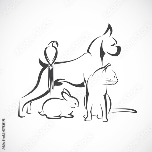 Vector group of pets - Dog, cat, bird, rabbit, isolated on white © yod67