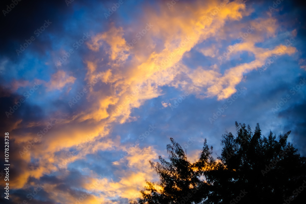 sunset sunset