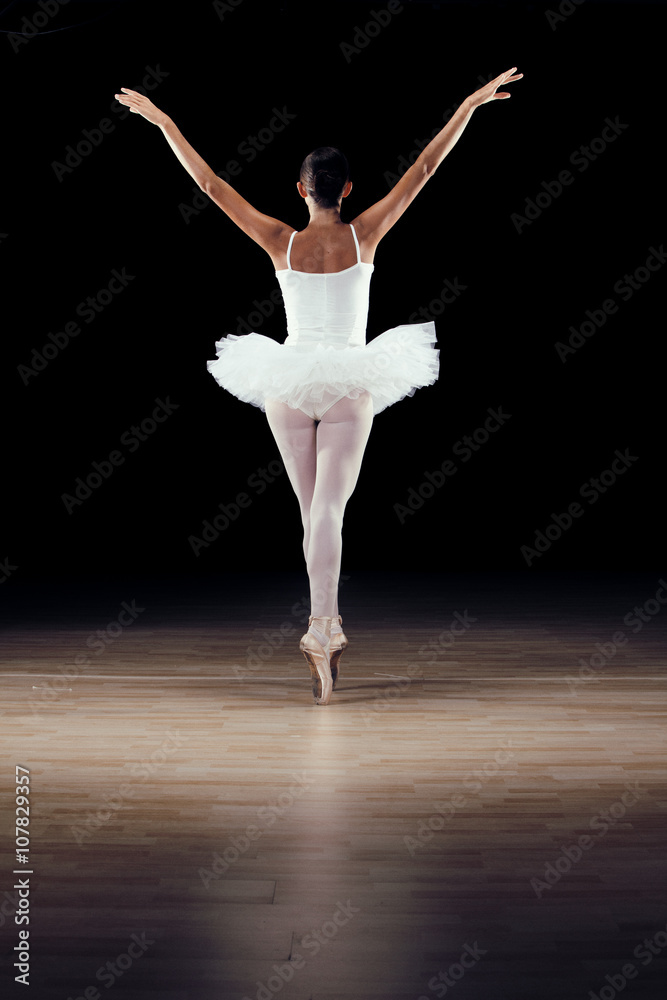 Obraz premium beautiful classical dancer on black background