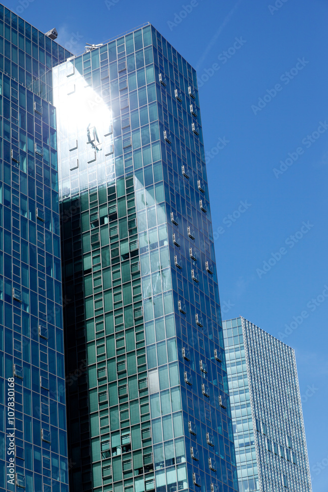 Frankfurt city Skyscraper facade and tree Frankfurt city Skyscraper facade and tree