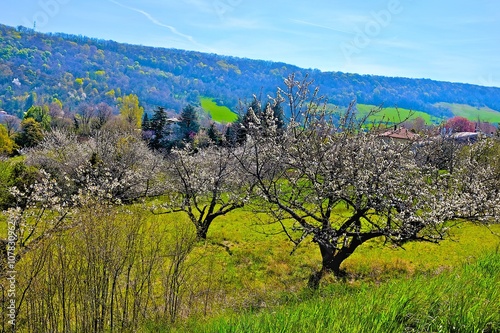 Photos coteaux du lyonnais 3