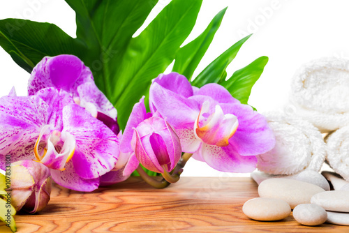 beautiful spa concept of blooming lilac orchid, white stones, towels and big tropical green leaf on root wood background is isolated, close up