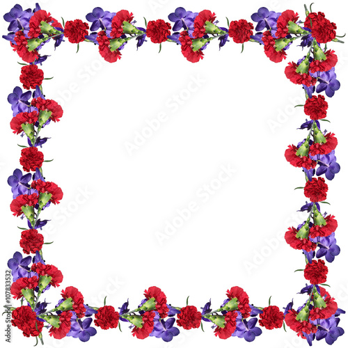 Floral background. Purple orchid and red carnation 