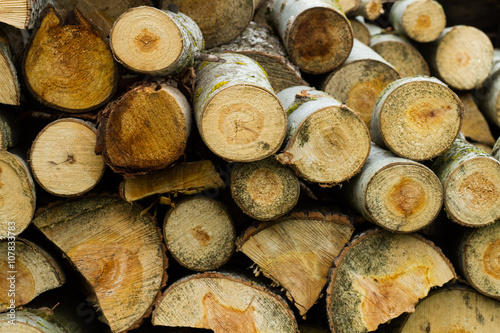 image of stacked logpile and wood texture
