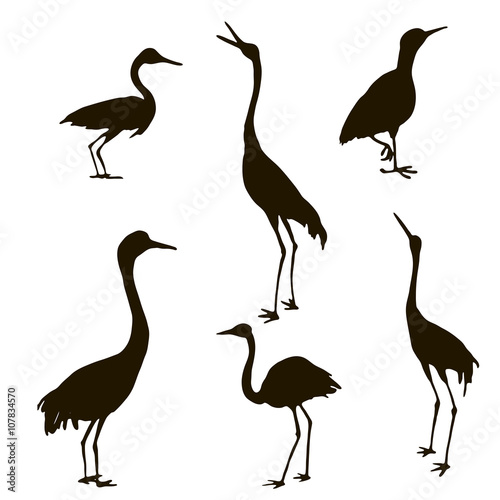 vector set of birds silhouettes