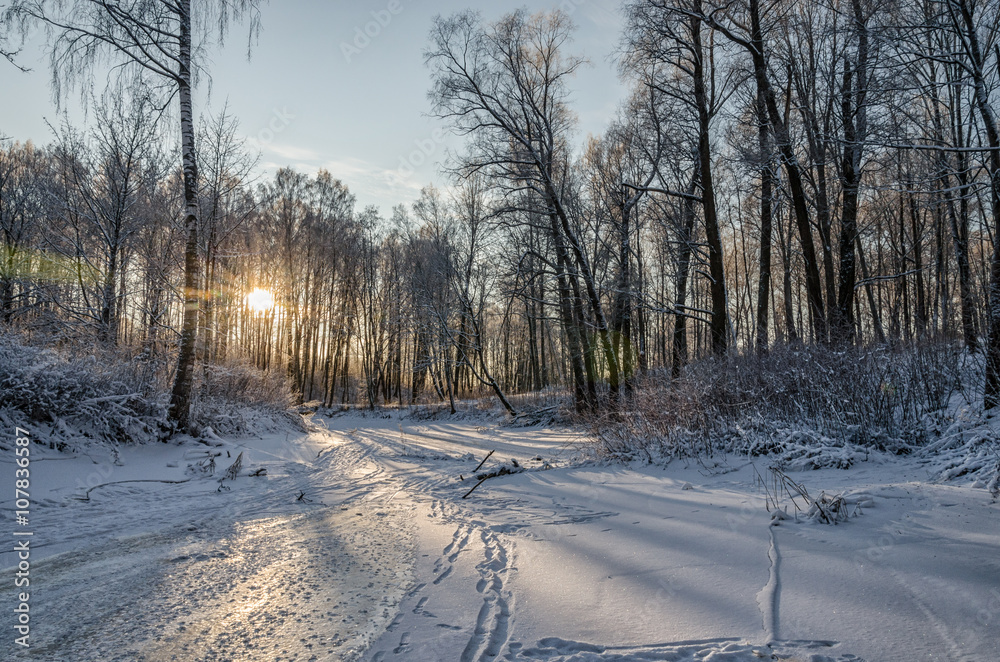 A scenery with a frozen forest river and the sun shining through trees at a very frosty winter day A scenery with a frozen forest river and the sun shining through trees at a very frosty winter day