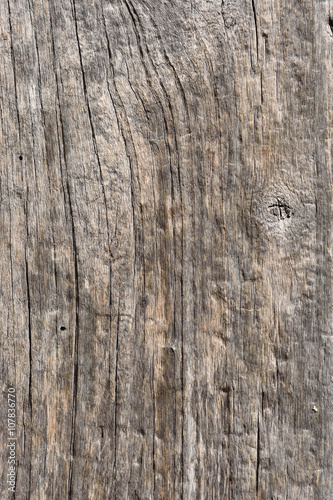 Texture of an old wood outdoors
