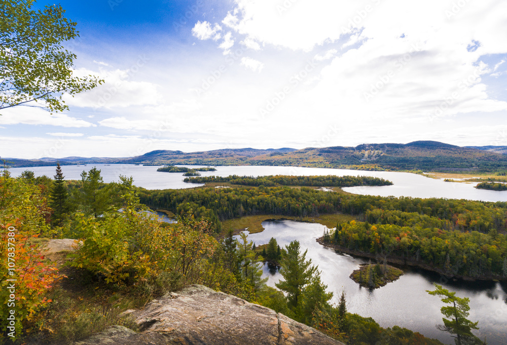 Naklejka premium Autumn landscape
