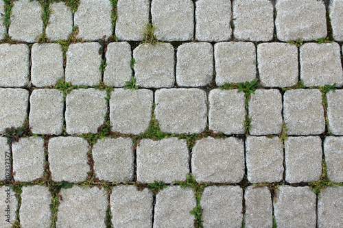 Old paving square shape with grass sprouted between the tiles