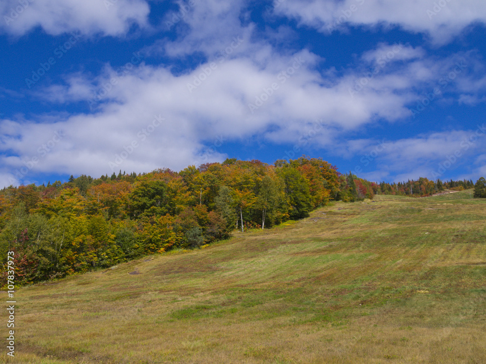 Fototapeta premium Autumn lansdscape