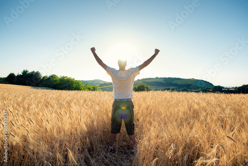 golden wheat field in with man a sunny day