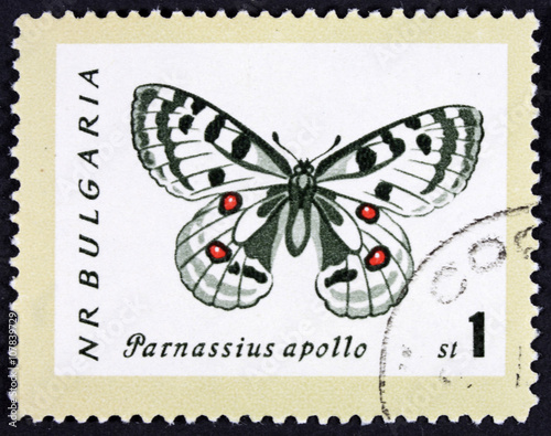 GROOTEBROEK ,THE NETHERLANDS - MARCH 20,2016 : A stamp printed in Bulgaria shows image of a Butterfly with the inscription , from the series â??Butterflies and Mothsâ?�, circa 1962