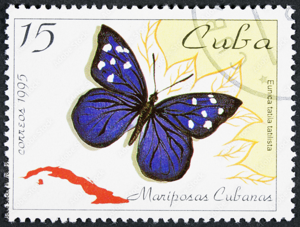 Fototapeta premium GROOTEBROEK ,THE NETHERLANDS - MARCH 20,2016 : A stamp printed in the Cuba shows Florida Purplewing, Eunica Tatila, Butterfly, circa 1995