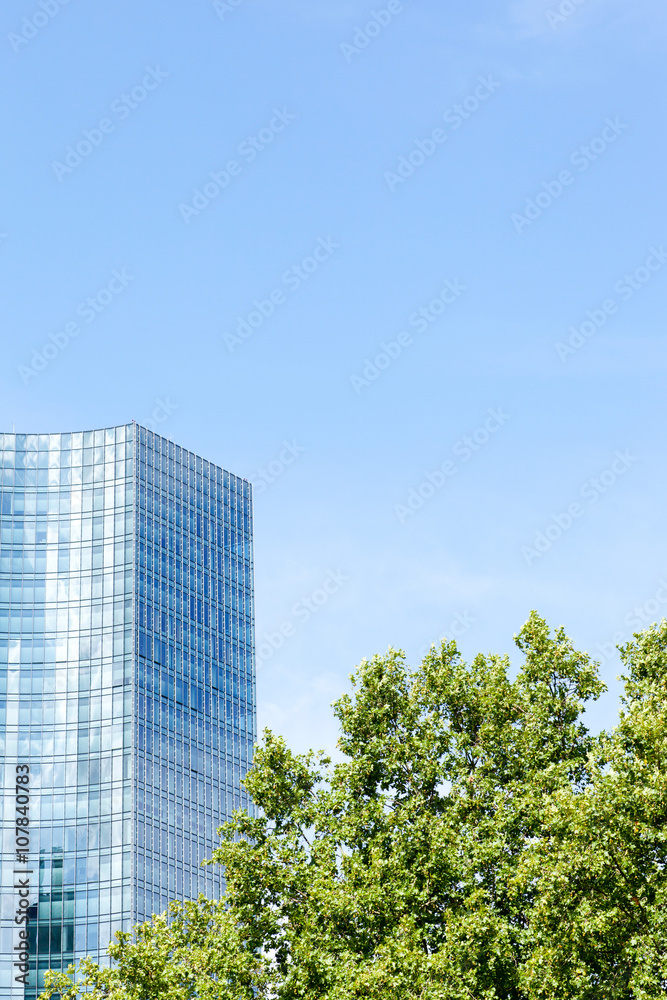 Frankfurt city Skyscraper facade and tree