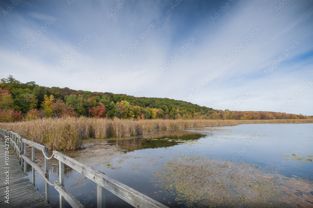 Autumn landscape