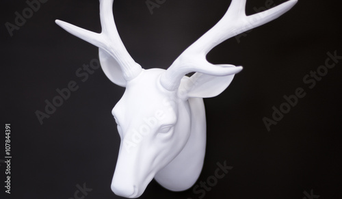 Stag's head antlers on wall
