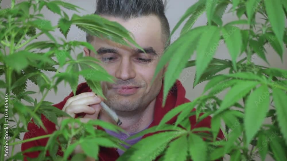 Closeup of satisfied man smoking Marijuana joint. Closeup of satisfied man smoking Marijuana joint.