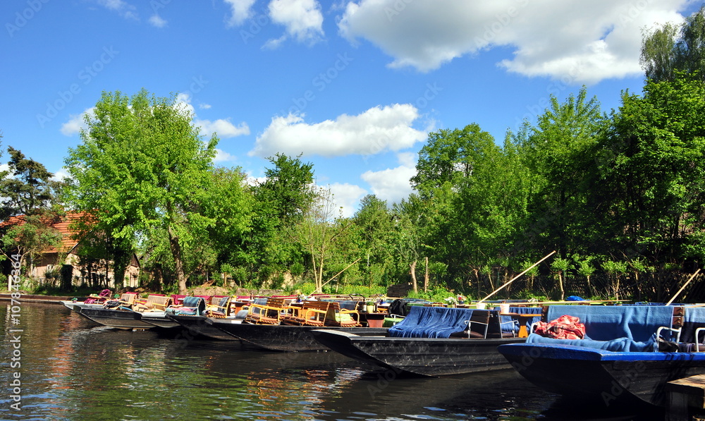 Naklejka premium Unterwegs auf den Kanälen des Spreewaldes