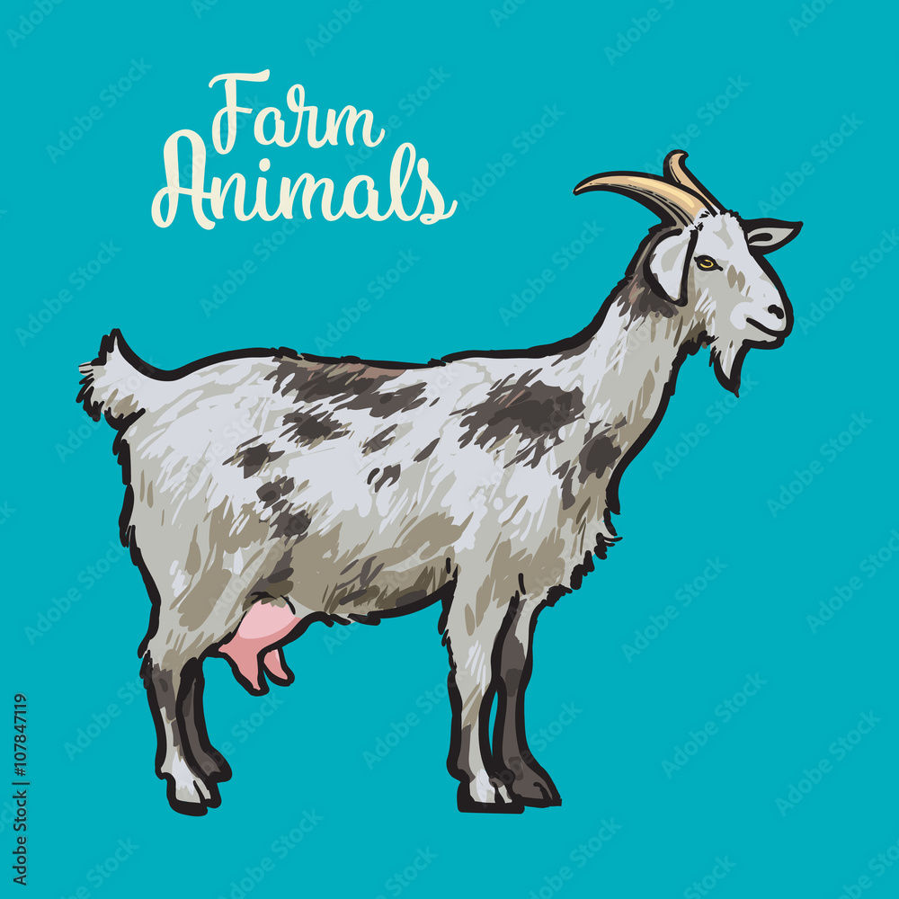 Farm pet goat sketch drawn by hand, cattle, milk and goat meat, goat meat, one farm horned animal on a blue background, vector illustration livestock - goats. Farm pet goat sketch drawn by hand, cattle, milk and goat meat, goat meat, one farm horned animal on a blue background, vector illustration livestock - goats.