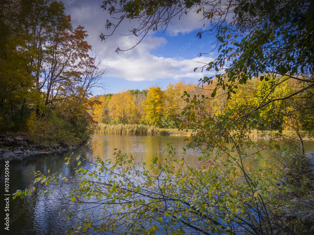 Fototapeta premium Autumn landscape