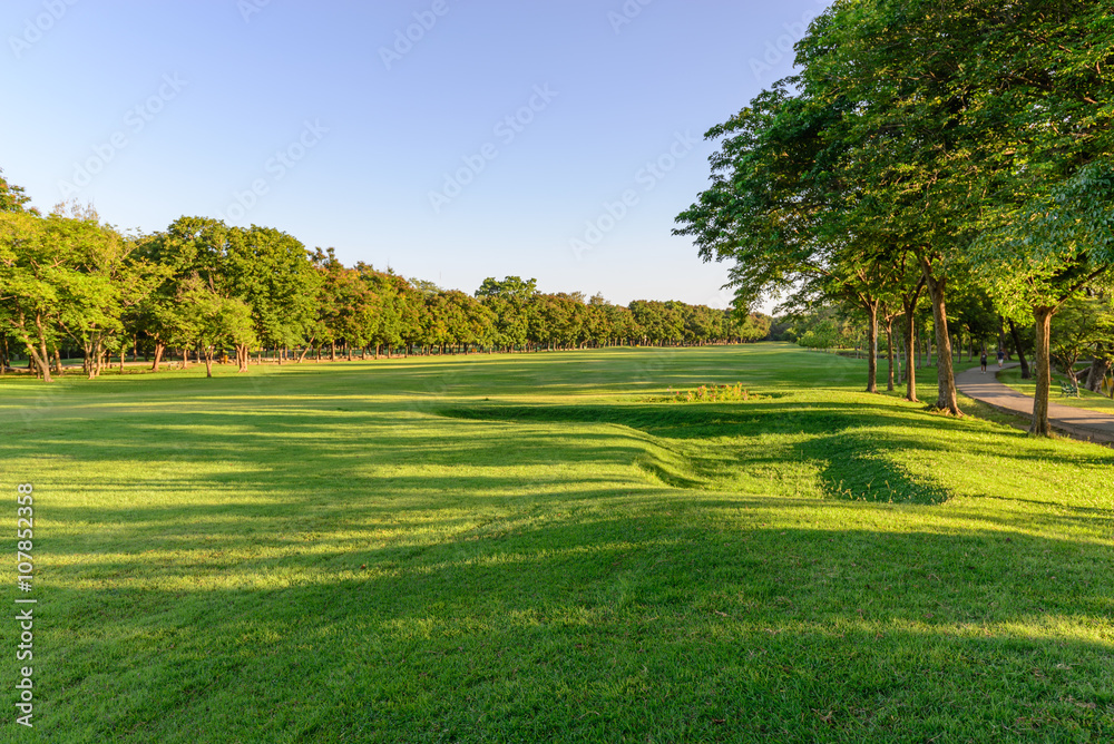 Fototapeta premium Formal garden landscape.