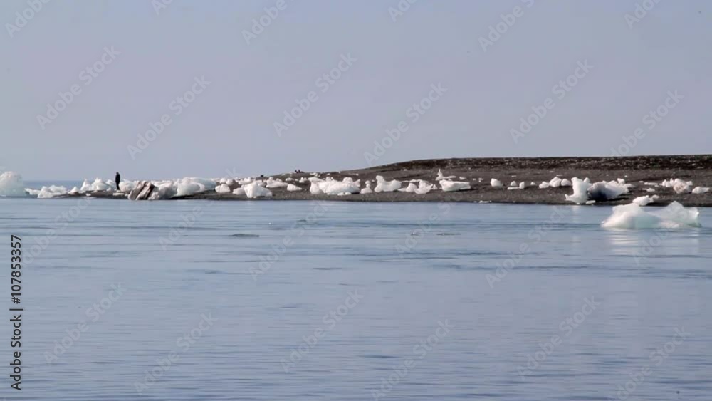 ice floe swim at Jokulsarlon. Iceland ice floe swim at Jokulsarlon. Iceland